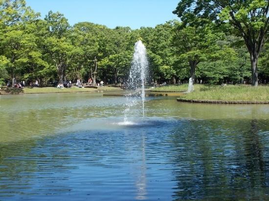 Parque Yoyogi